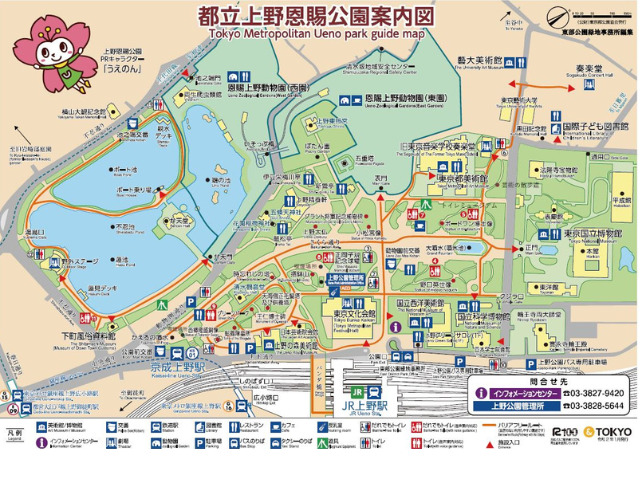 上野公園の桜見頃とおすすめ場所はどこ？【2023年】ライトアップならここ！