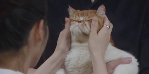 おもえち