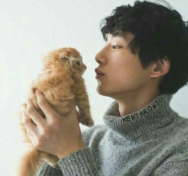 坂口健太郎と猫のおもちの可愛い画像まとめ！実際に猫好きで猫舌のギャップが萌える！