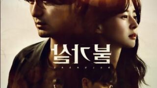 不可殺のあらすじ感想を徹底考察！Netflix韓国ドラマのネタバレや伏線を解説！