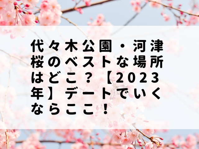 代々木公園・河津桜のベストな場所はどこ？【2023年】デートでいくならここ！