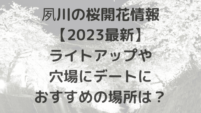 夙川の桜開花情報【2023最新】ライトアップや穴場にデートにおすすめの場所は？